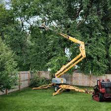 Best Lawn Mowing  in Twin Falls, ID