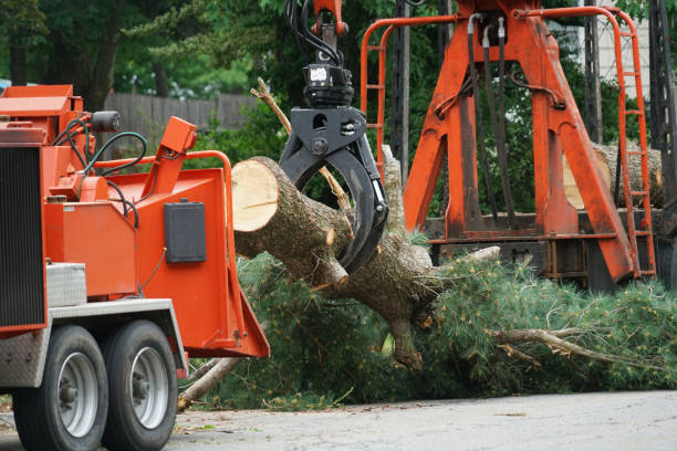 Best Utility Line Clearance  in Twin Falls, ID